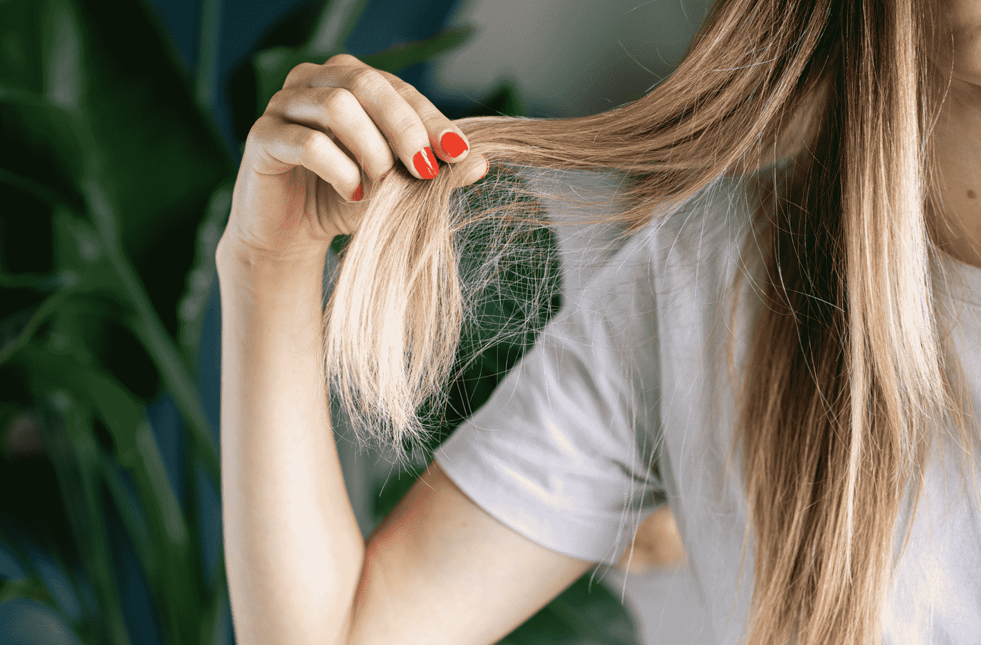 A blonde woman with thinning hair.